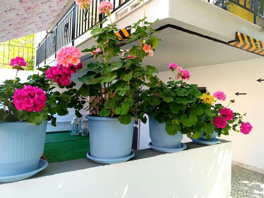 Sofia'S Home 9Min. Athens Airport Artemida  Exterior foto